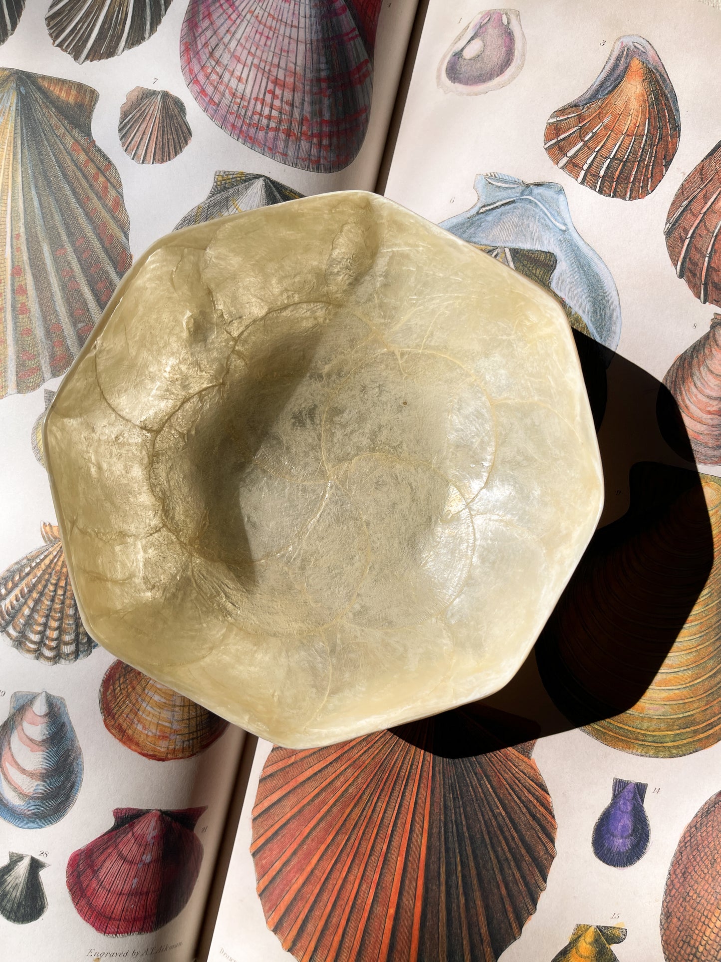 Vintage Lacquered Capiz Shell Catchall