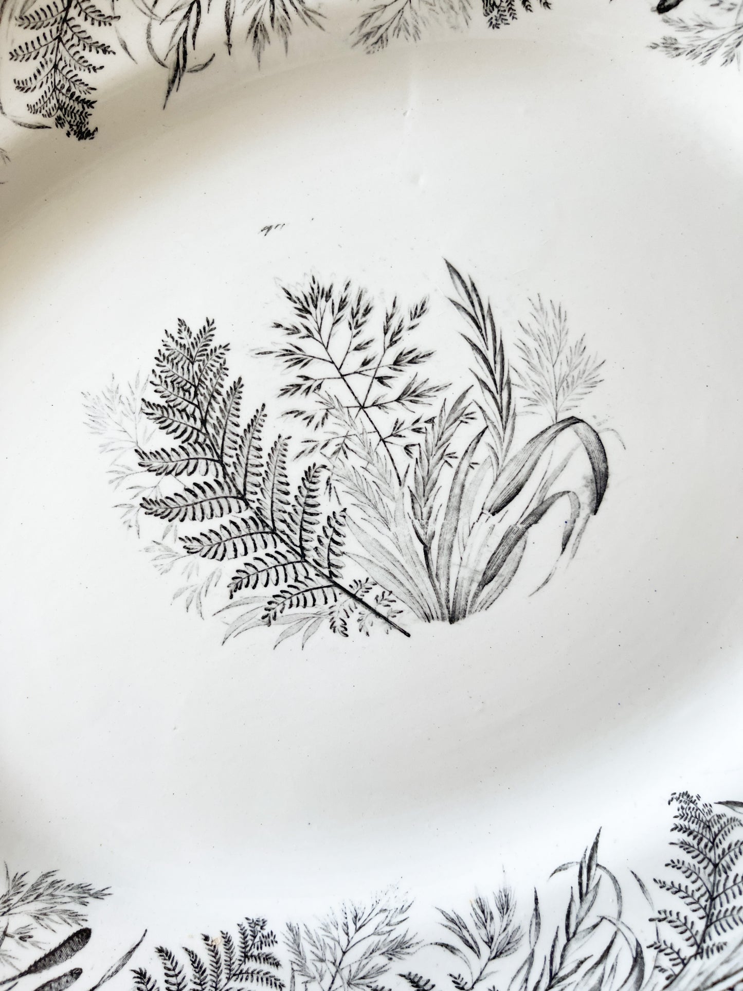 Antique Danish Fern Victorian Black Transferware Platter