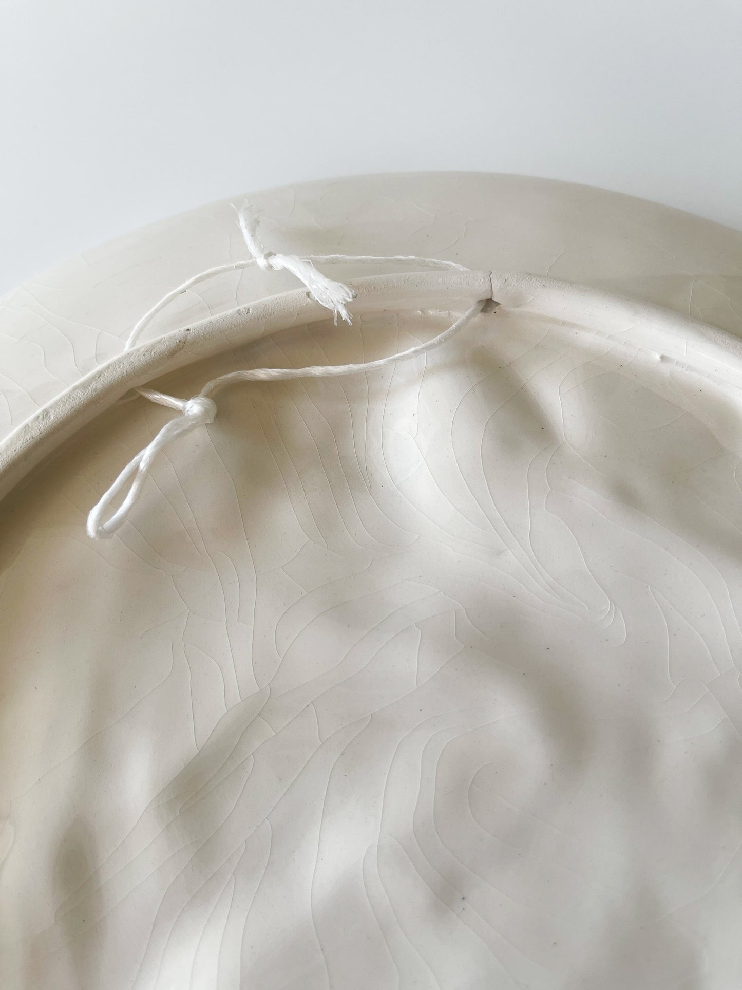 Vintage Caldas Portugal Palissy Ware Village Wall Plate