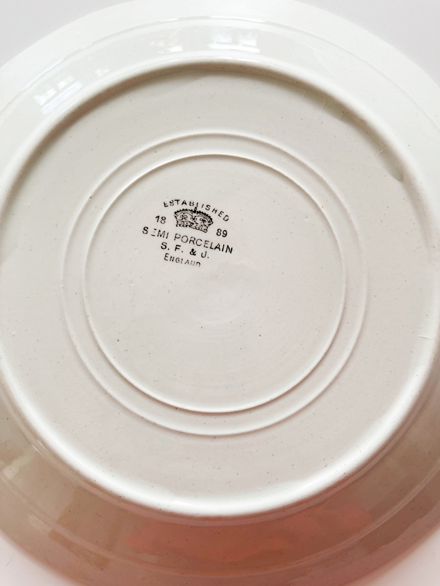 Pair of Antique English White Ironstone Plates