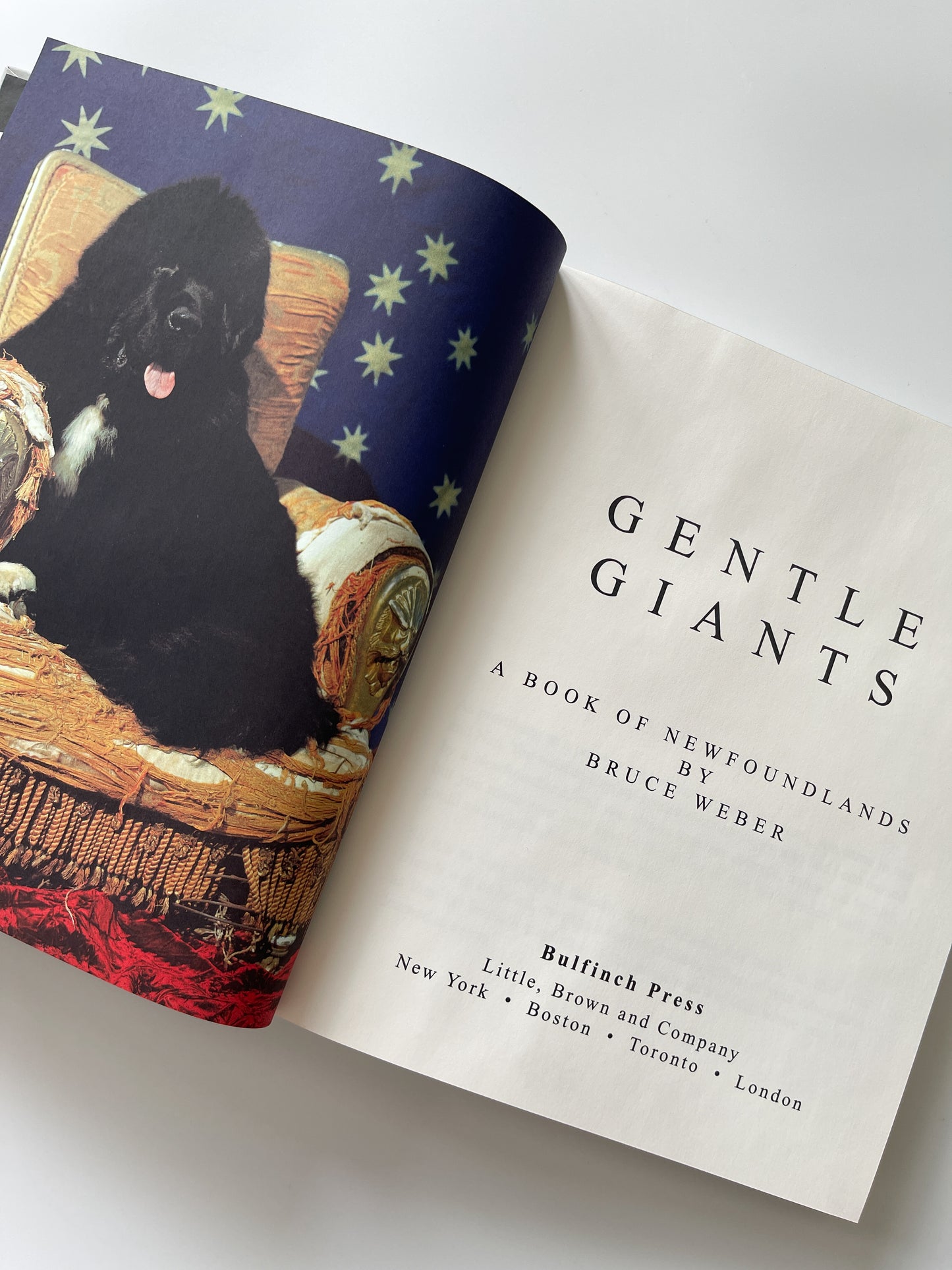 Gentle Giants: A Book of Newfoundlands by Bruce Weber