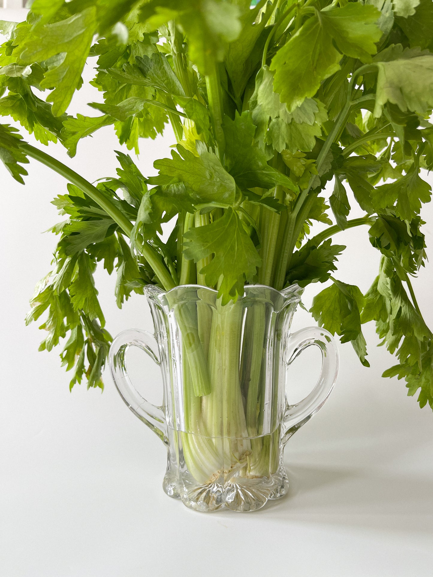 Antique EAPG O'Hara Glass Loop Celery Vase