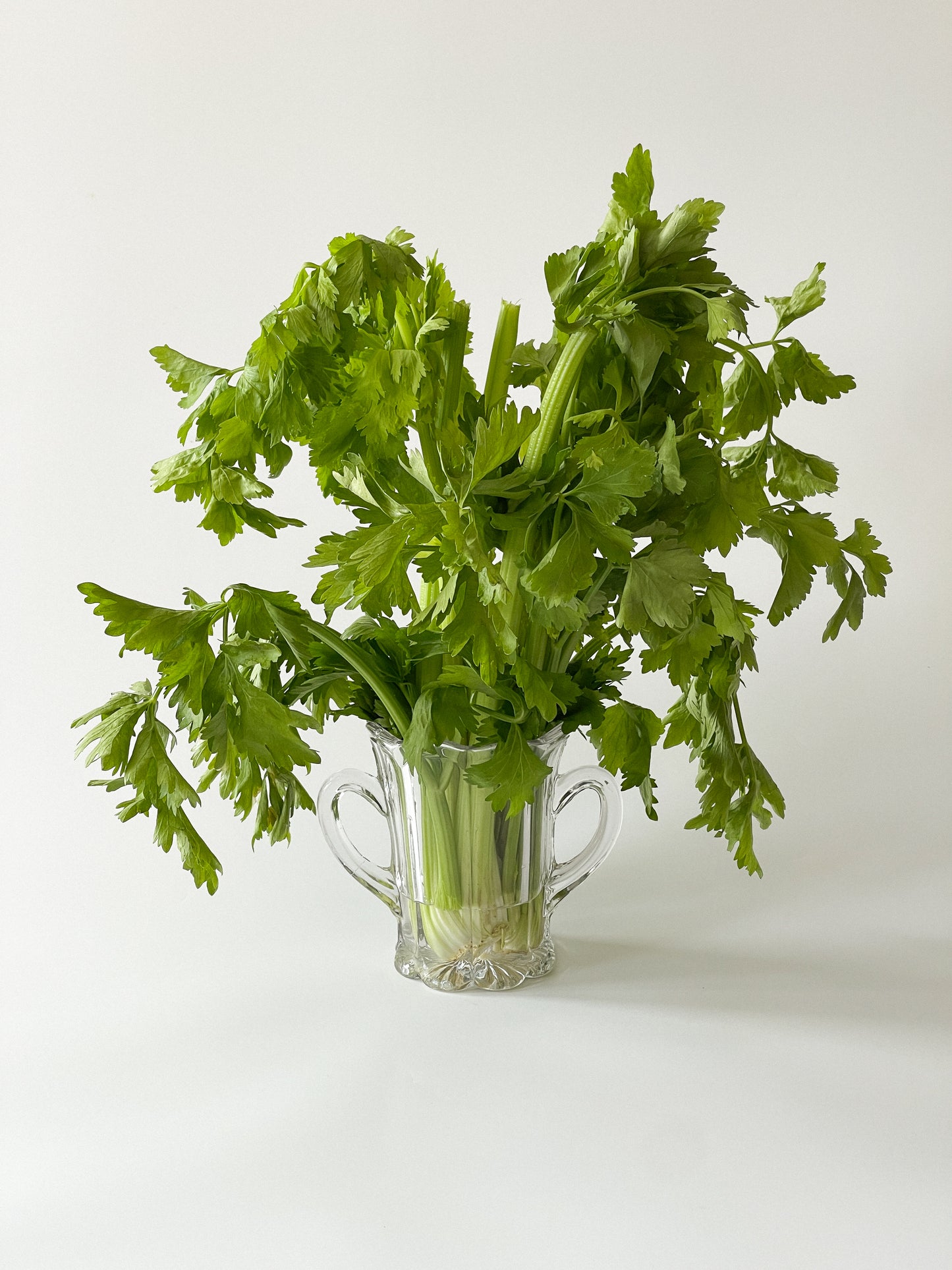 Antique EAPG O'Hara Glass Loop Celery Vase