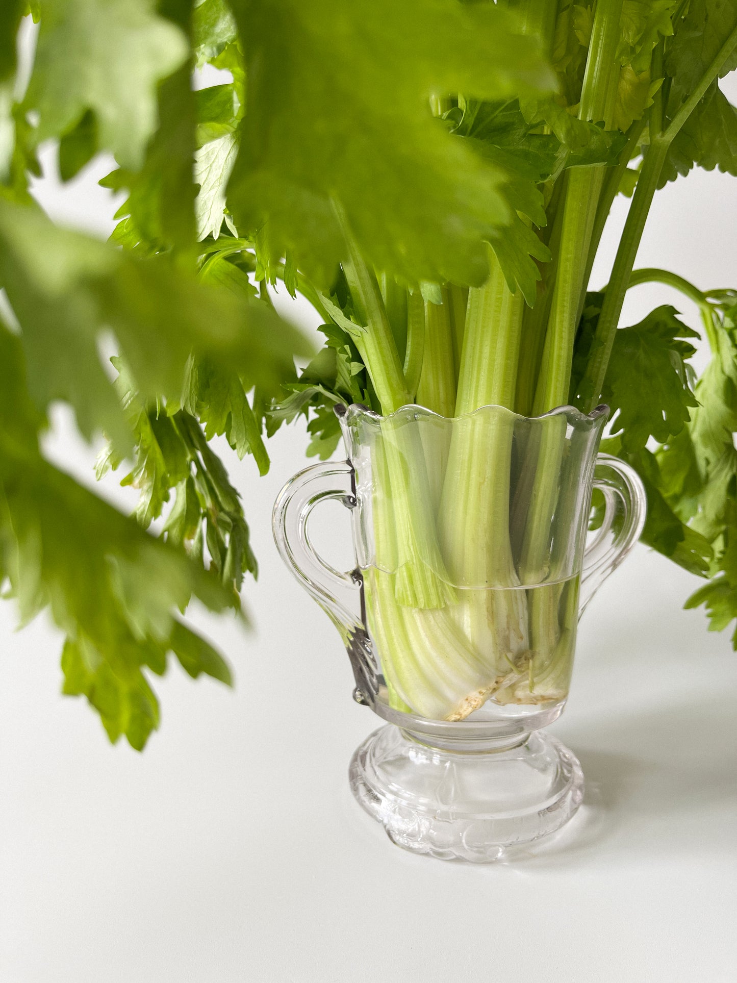Antique EAPG Footed Celery Vase Spooner
