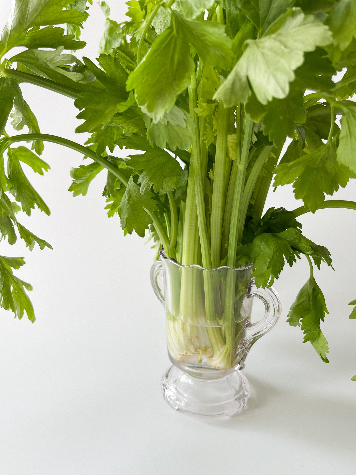 Antique EAPG Footed Celery Vase Spooner