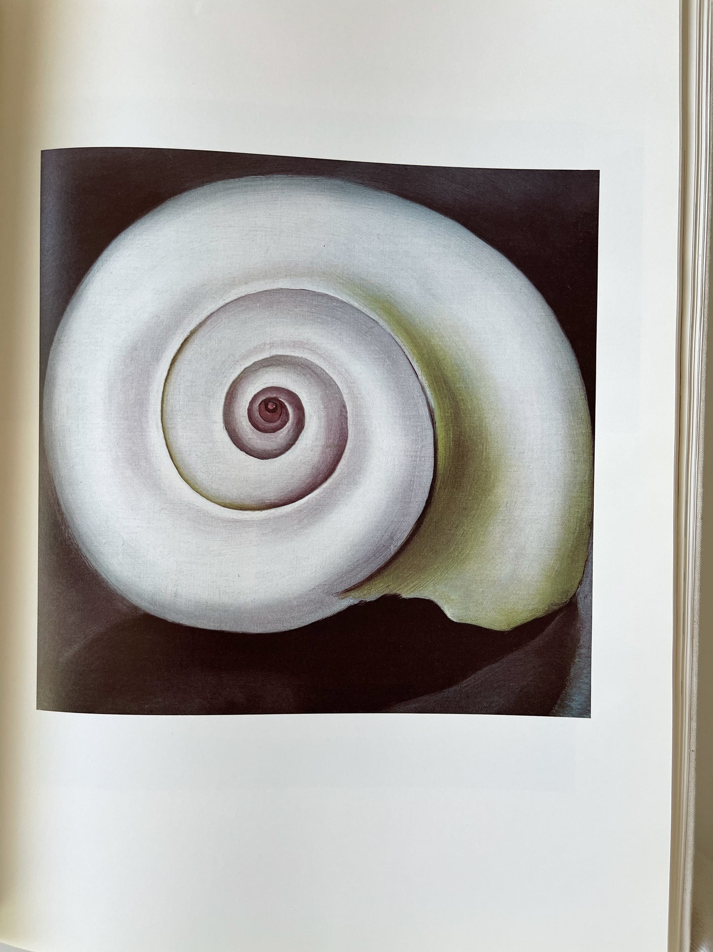 Vintage Georgia O’Keeffe (A Studio Book) 1976 First Edition Hardcover