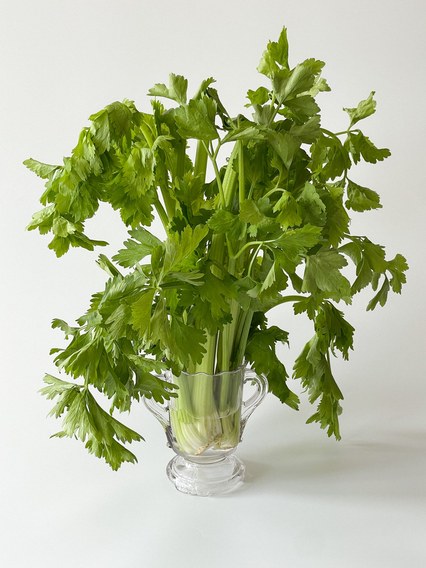 Antique EAPG Footed Celery Vase Spooner