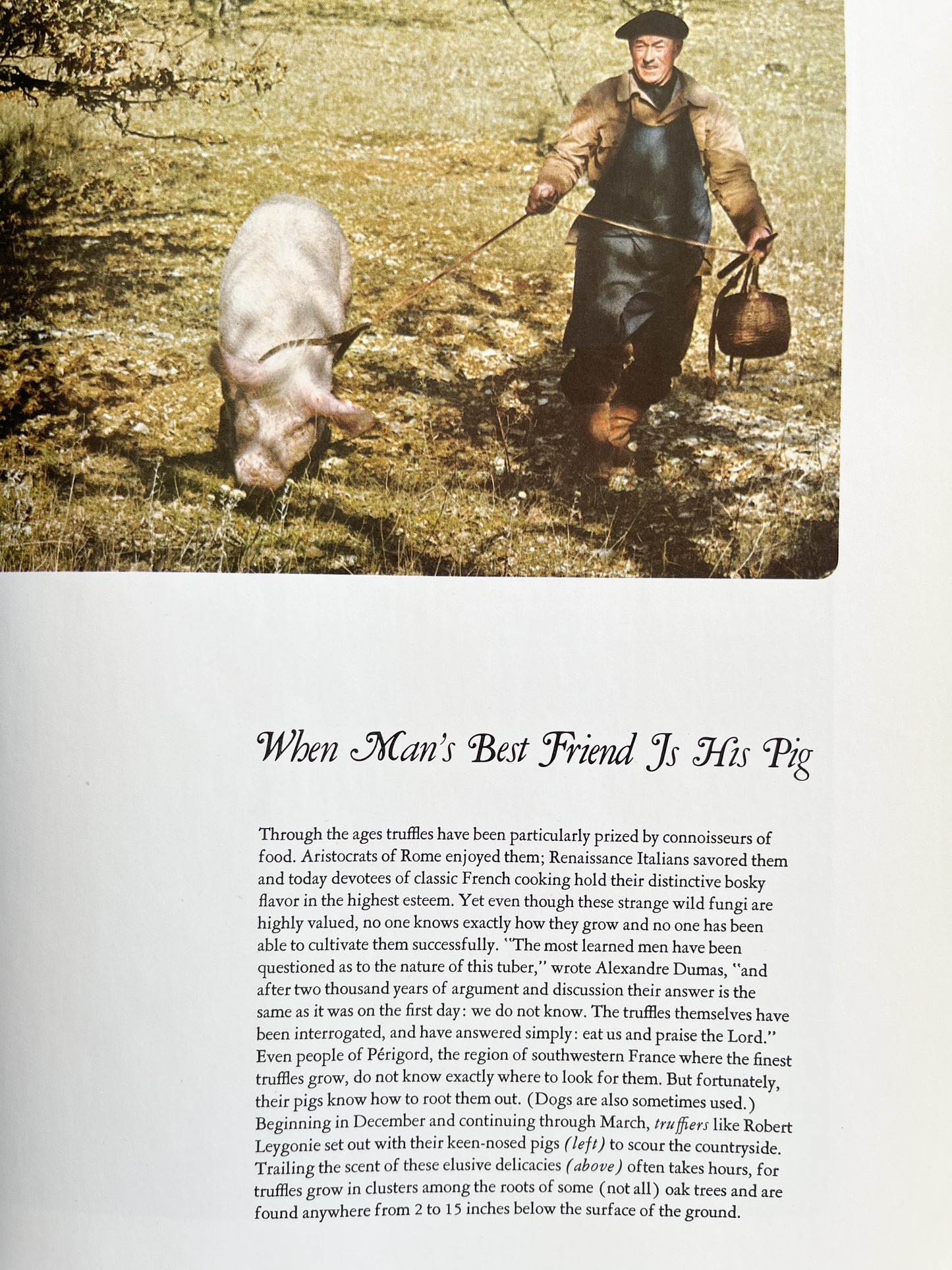 Classic French Cooking (1970) Time-Life Foods of the World by Craig Claiborne, Pierre Franey