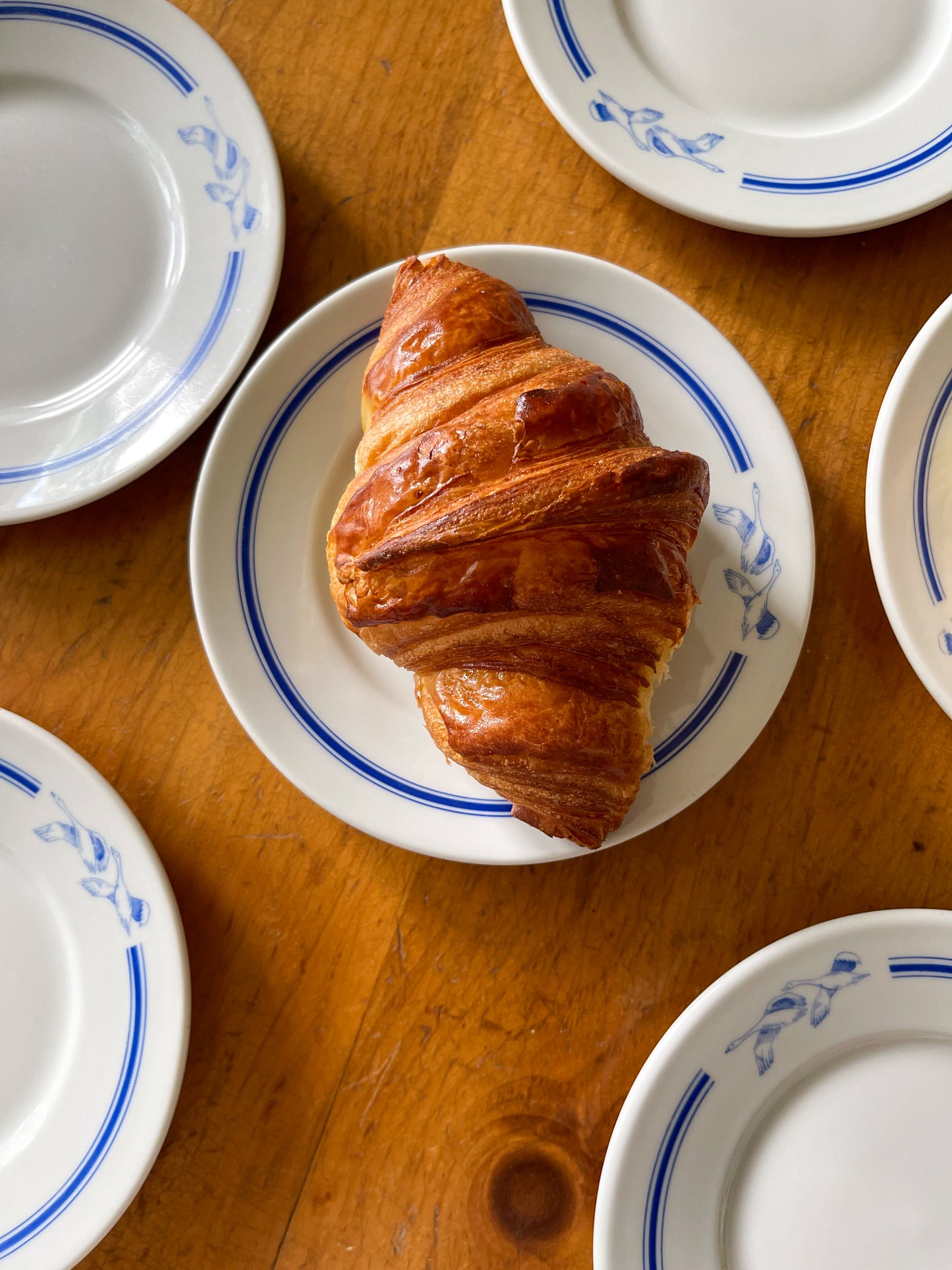 Vintage Small Porcelain Hotelware Plates from the Hotel Britannia, Muskoka, ON.