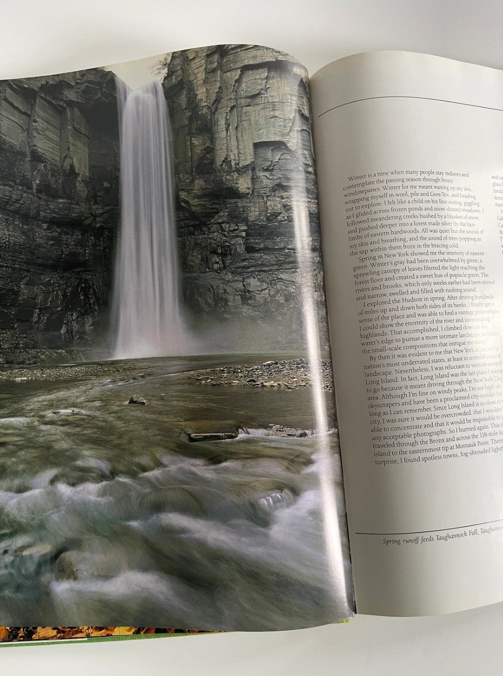 Carr Clifton New York Images of the Landscape, 1988