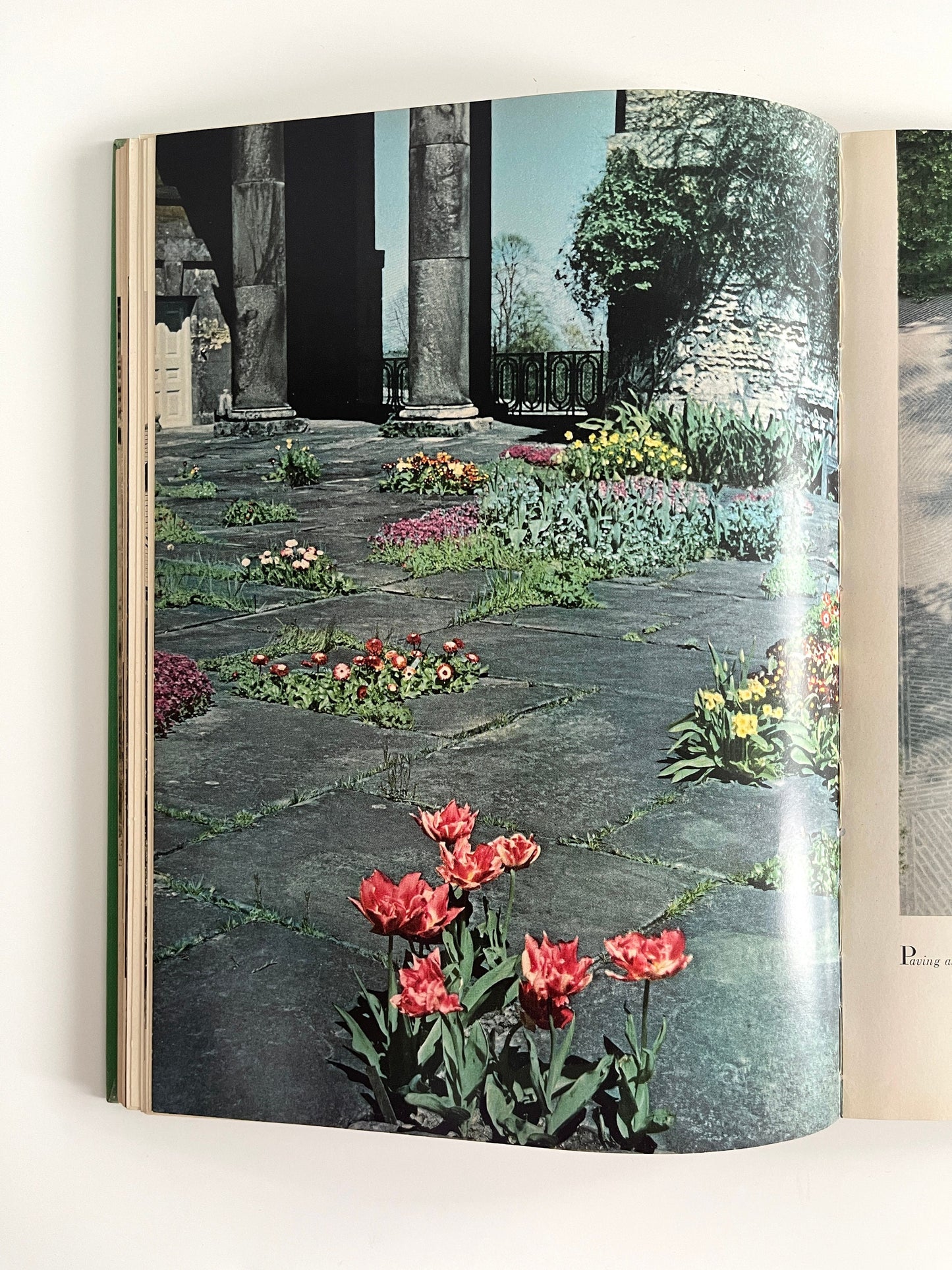 House and Garden's New Complete Book of Gardens, 1955